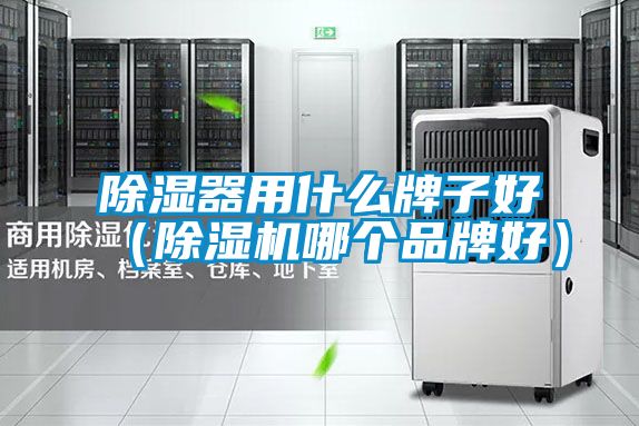 除濕器用什么牌子好(除濕機哪個品牌好)