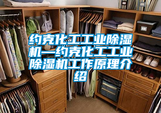 約克化工工業除濕機—約克化工工業除濕機工作原理介紹