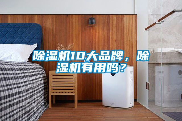 除濕機10大品牌,除濕機有用嗎?