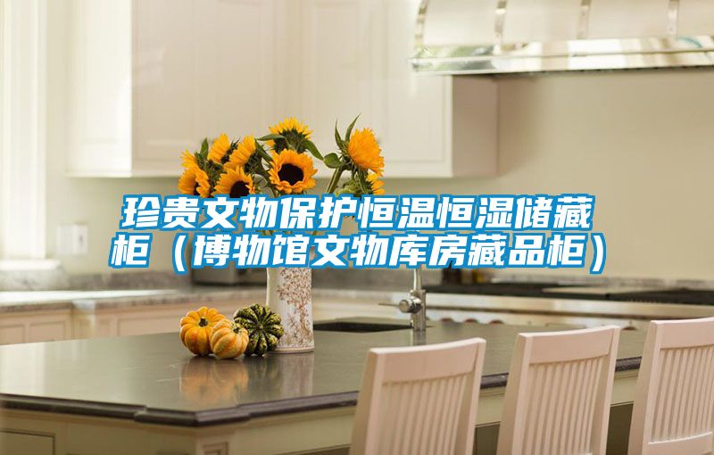 珍貴文物保護(hù)恒溫恒濕儲(chǔ)藏柜（博物館文物庫(kù)房藏品柜）