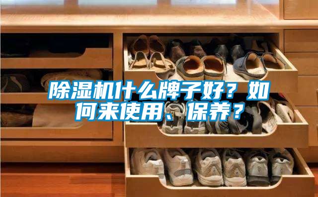 除濕機什么牌子好?如何來使用、保養?