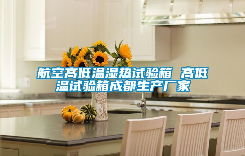 航空高低溫濕熱試驗箱 高低溫試驗箱成都生產廠家