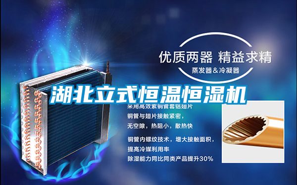 湖北立式恒溫恒濕機