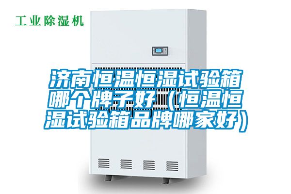 濟南恒溫恒濕試驗箱哪個牌子好(恒溫恒濕試驗箱品牌哪家好)