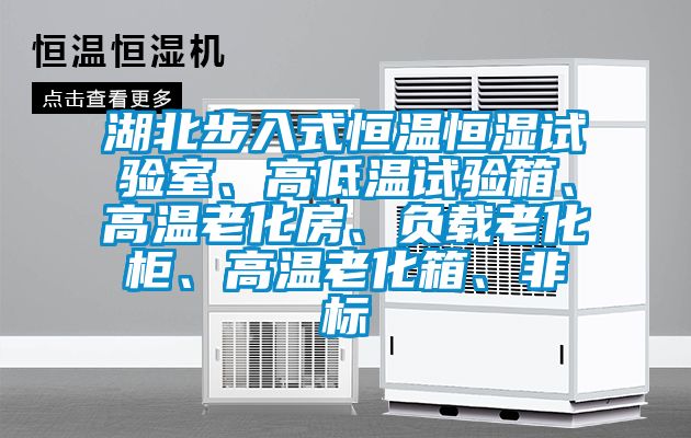 湖北步入式恒溫恒濕試驗(yàn)室、高低溫試驗(yàn)箱、高溫老化房、負(fù)載老化柜、高溫老化箱、非標(biāo)