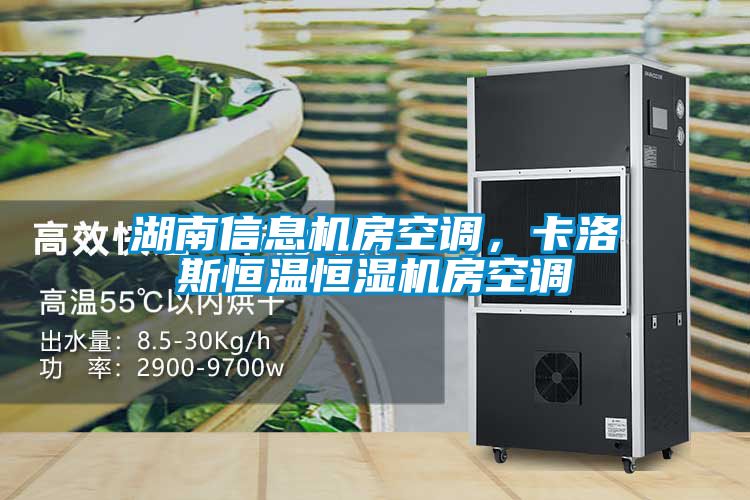 湖南信息機房空調,卡洛斯恒溫恒濕機房空調