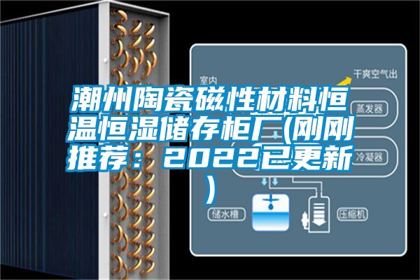 潮州陶瓷磁性材料恒溫恒濕儲存柜廠(剛剛推薦:2022已更新)