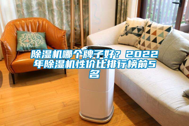 除濕機哪個牌子好?2022年除濕機性價比排行榜前5名