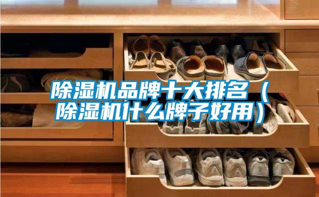 除濕機品牌十大排名(除濕機什么牌子好用)