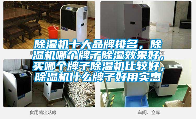 除濕機十大品牌排名，除濕機哪個牌子除濕效果好，買哪個牌子除濕機比較好，除濕機什么牌子好用實惠