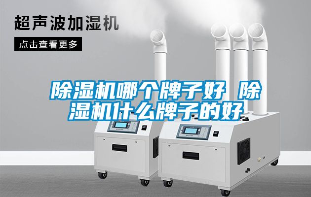 除濕機哪個牌子好 除濕機什么牌子的好