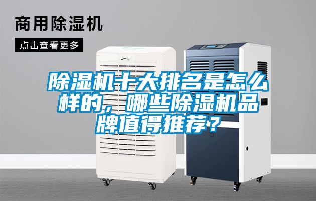 除濕機十大排名是怎么樣的，哪些除濕機品牌值得推薦？