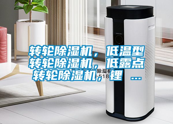 轉輪除濕機，低溫型轉輪除濕機，低露點轉輪除濕機，鋰 ...