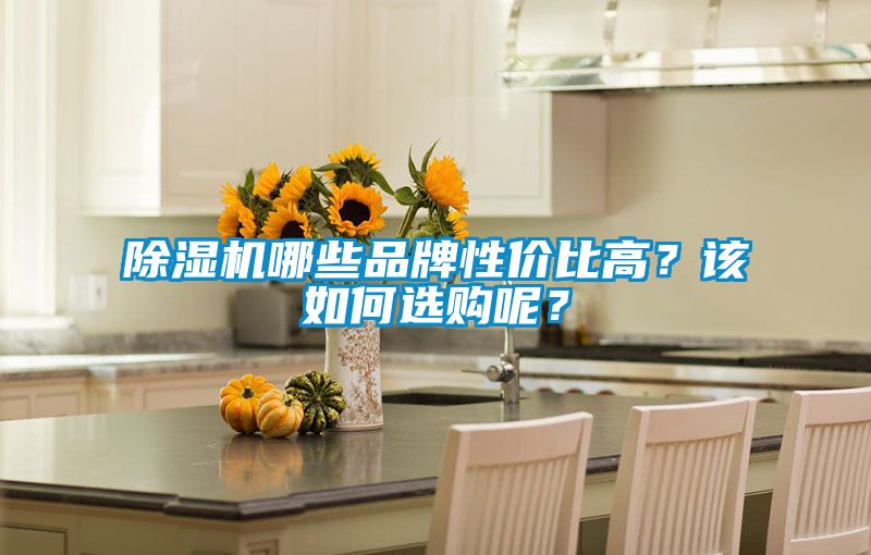 除濕機(jī)哪些品牌性價(jià)比高?該如何選購呢?
