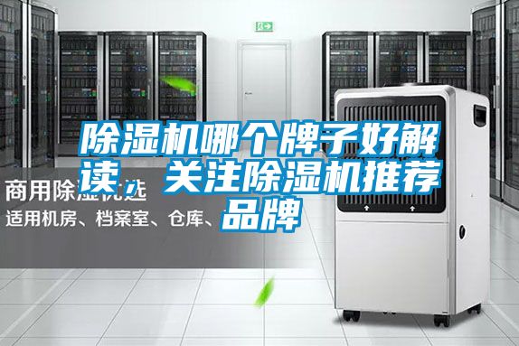 除濕機哪個牌子好解讀,關注除濕機推薦品牌