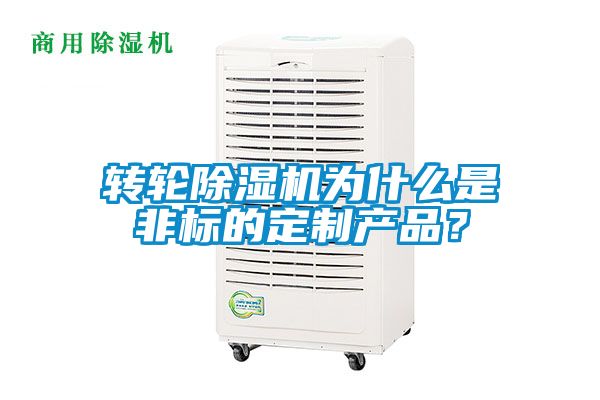 轉輪除濕機為什么是非標的定制產品?