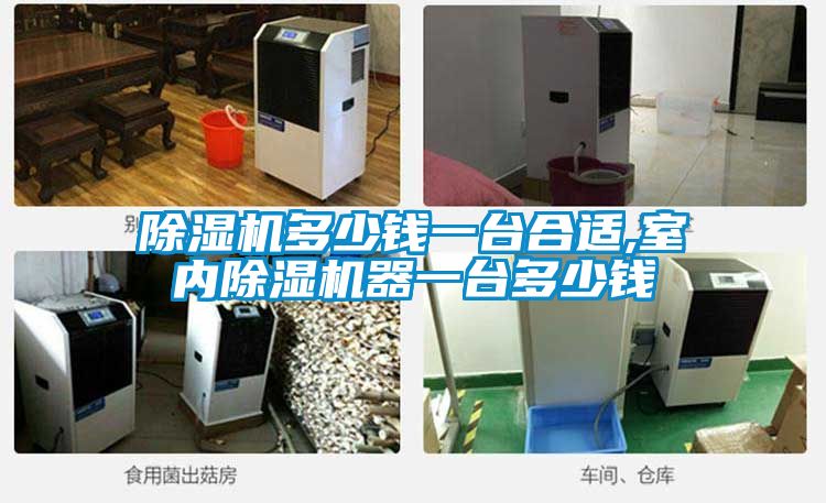 除濕機多少錢一臺合適,室內除濕機器一臺多少錢