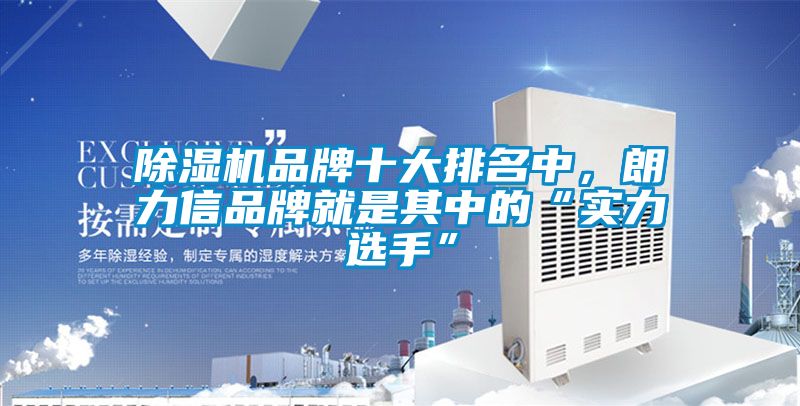 除濕機品牌十大排名中,朗力信品牌就是其中的“實力選手”