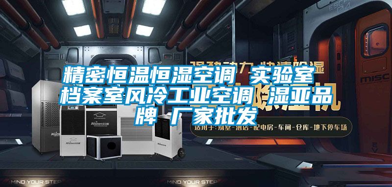精密恒溫恒濕空調 實驗室 檔案室風冷工業空調 濕亞品牌 廠家批發