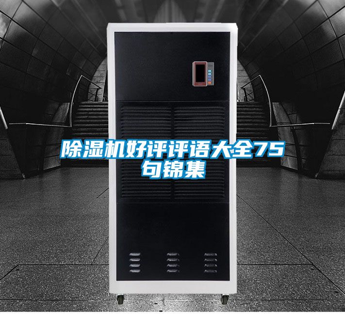 除濕機好評評語大全75句錦集