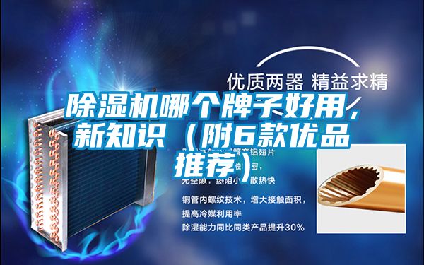除濕機哪個牌子好用,新知識(附6款優品推薦)