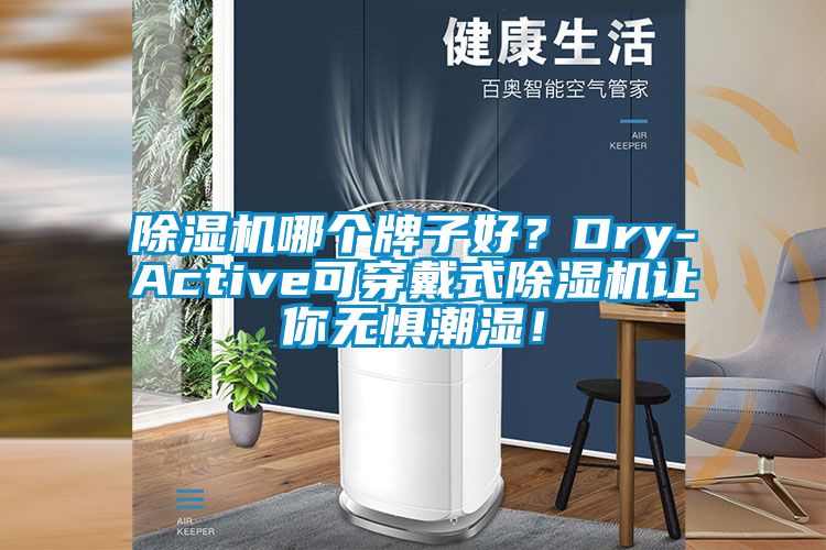 除濕機哪個牌子好？Dry-Active可穿戴式除濕機讓你無懼潮濕！