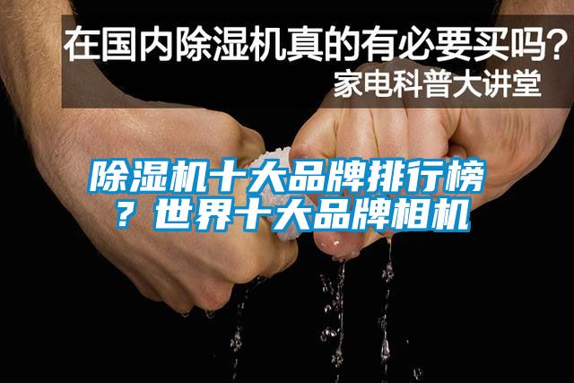 除濕機十大品牌排行榜?世界十大品牌相機