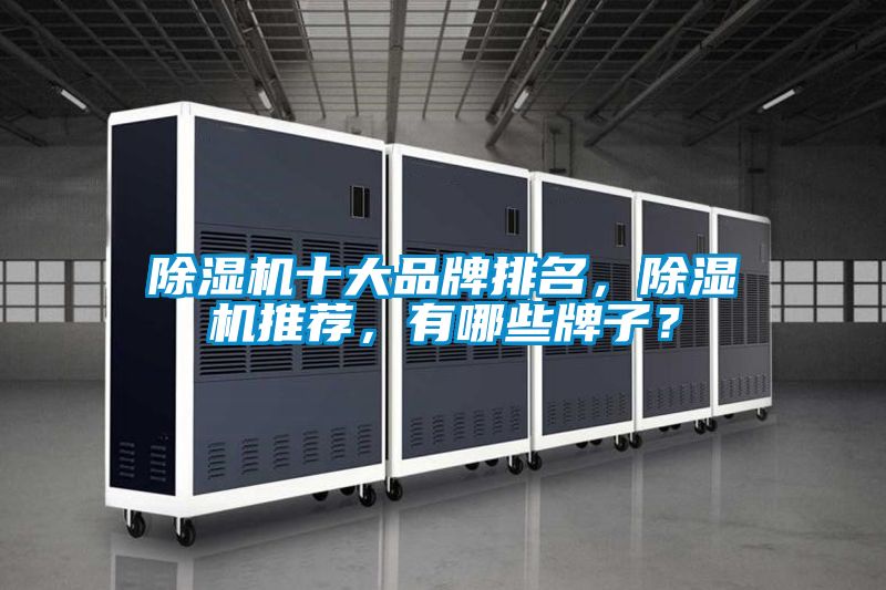 除濕機(jī)十大品牌排名,除濕機(jī)推薦,有哪些牌子?