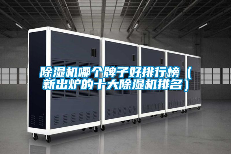 除濕機(jī)哪個(gè)牌子好排行榜(新出爐的十大除濕機(jī)排名)