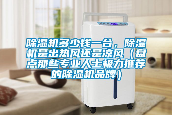 除濕機多少錢一臺,除濕機是出熱風還是涼風(盤點那些專業人士極力推薦的除濕機品牌)