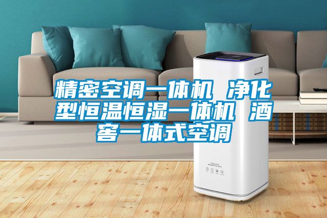 精密空調一體機 凈化型恒溫恒濕一體機 酒窖一體式空調