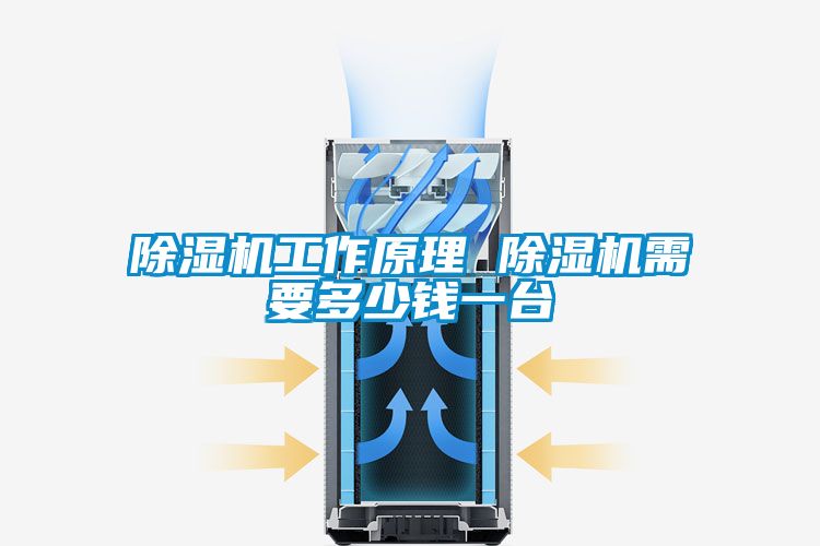 除濕機工作原理 除濕機需要多少錢一臺
