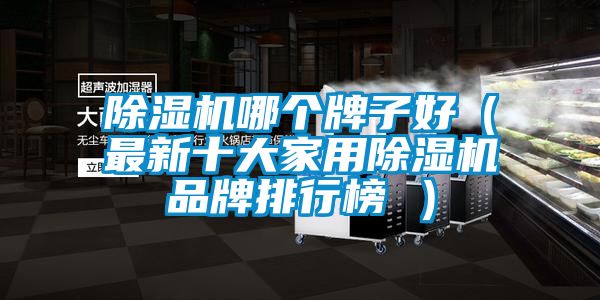除濕機哪個牌子好(最新十大家用除濕機品牌排行榜 )