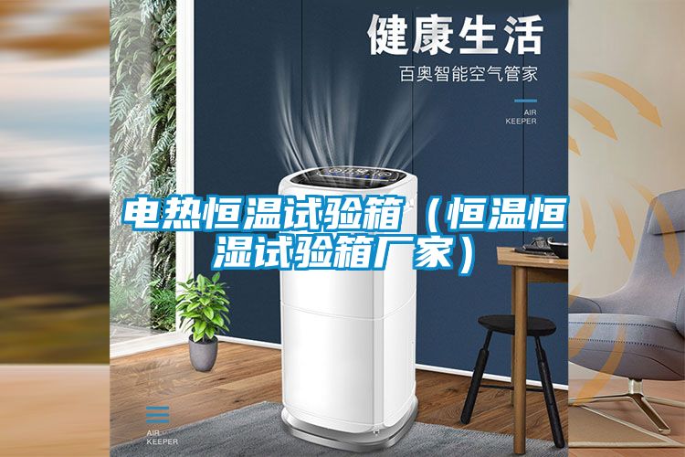 電熱恒溫試驗箱(恒溫恒濕試驗箱廠家)
