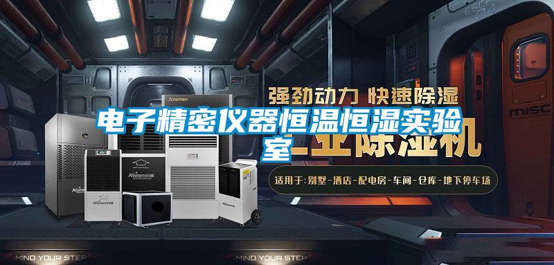 電子精密儀器恒溫恒濕實(shí)驗(yàn)室