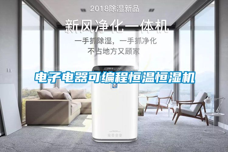 電子電器可編程恒溫恒濕機