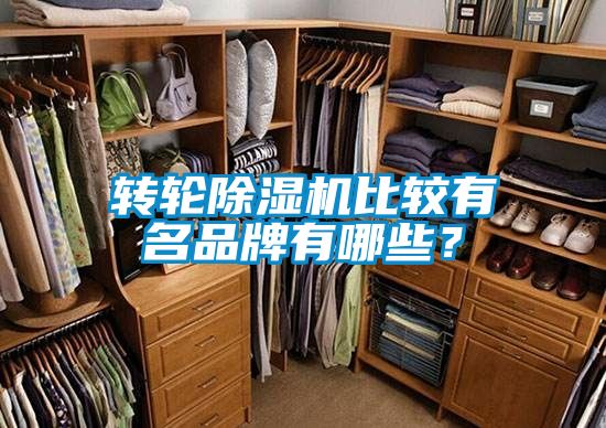 轉輪除濕機比較有名品牌有哪些?