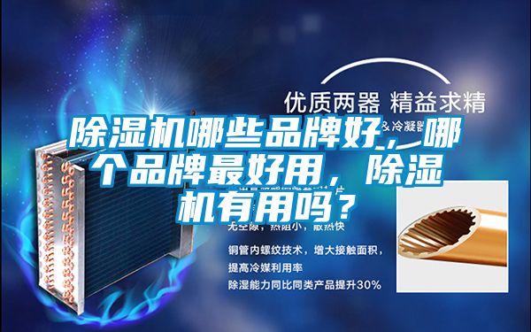 除濕機哪些品牌好,哪個品牌最好用,除濕機有用嗎?