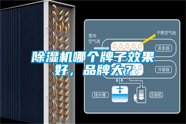 除濕機哪個牌子效果好，品牌大？