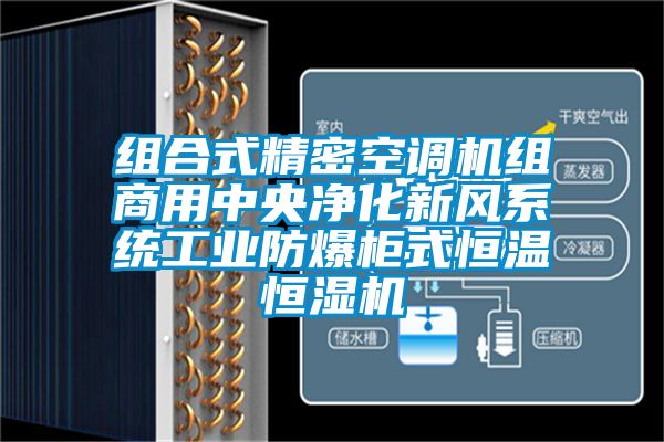 組合式精密空調機組商用中央凈化新風系統工業防爆柜式恒溫恒濕機