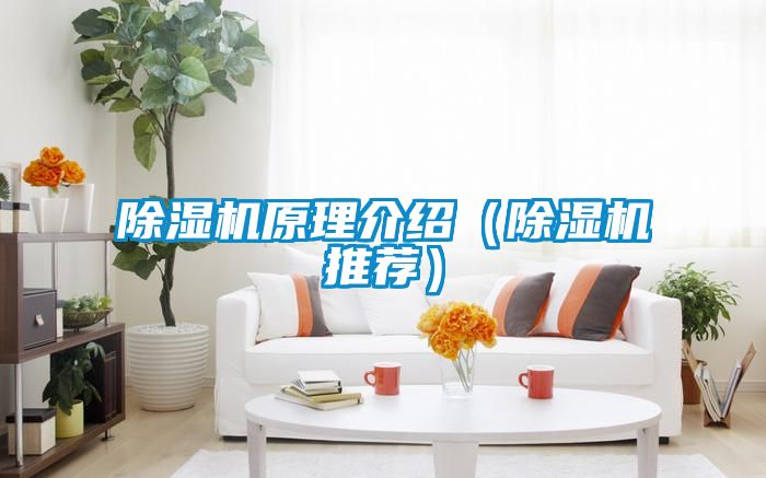 除濕機原理介紹(除濕機推薦)