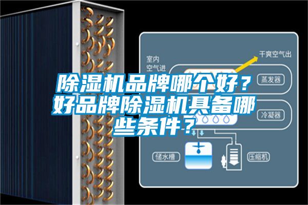 除濕機品牌哪個好?好品牌除濕機具備哪些條件?