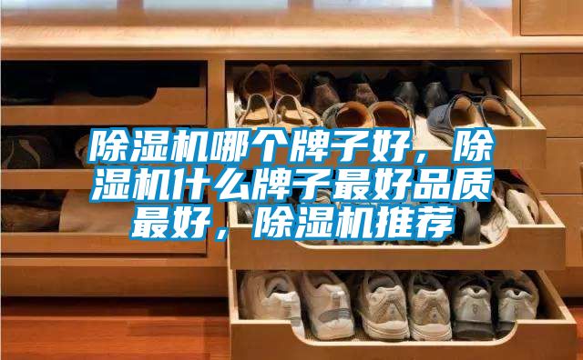 除濕機哪個牌子好,除濕機什么牌子最好品質最好,除濕機推薦