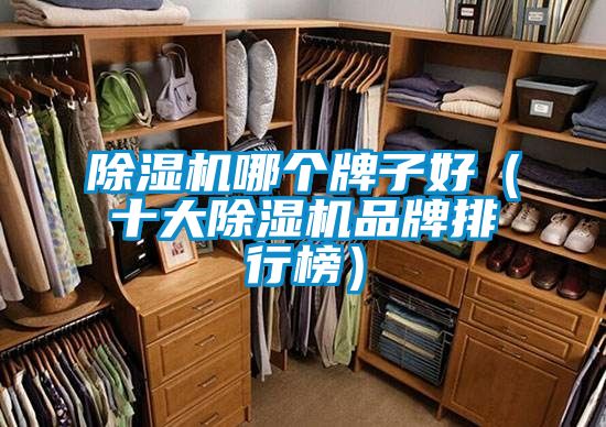 除濕機哪個牌子好(十大除濕機品牌排行榜)
