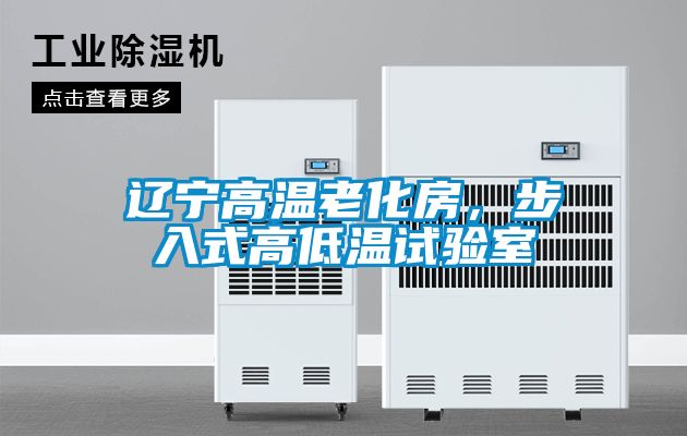 遼寧高溫老化房,步入式高低溫試驗(yàn)室
