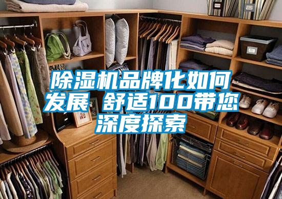 除濕機品牌化如何發展　　舒適100帶您深度探索