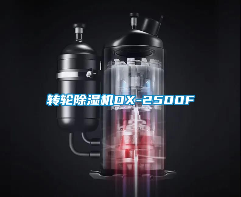 轉(zhuǎn)輪除濕機DX-2500F