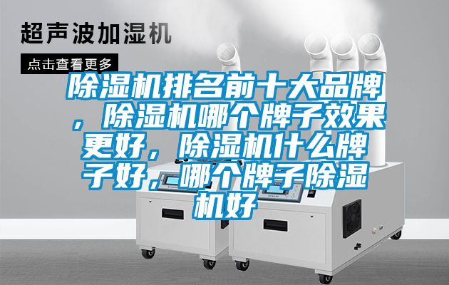 除濕機排名前十大品牌，除濕機哪個牌子效果更好，除濕機什么牌子好，哪個牌子除濕機好