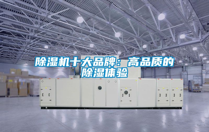 除濕機(jī)十大品牌:高品質(zhì)的除濕體驗(yàn)