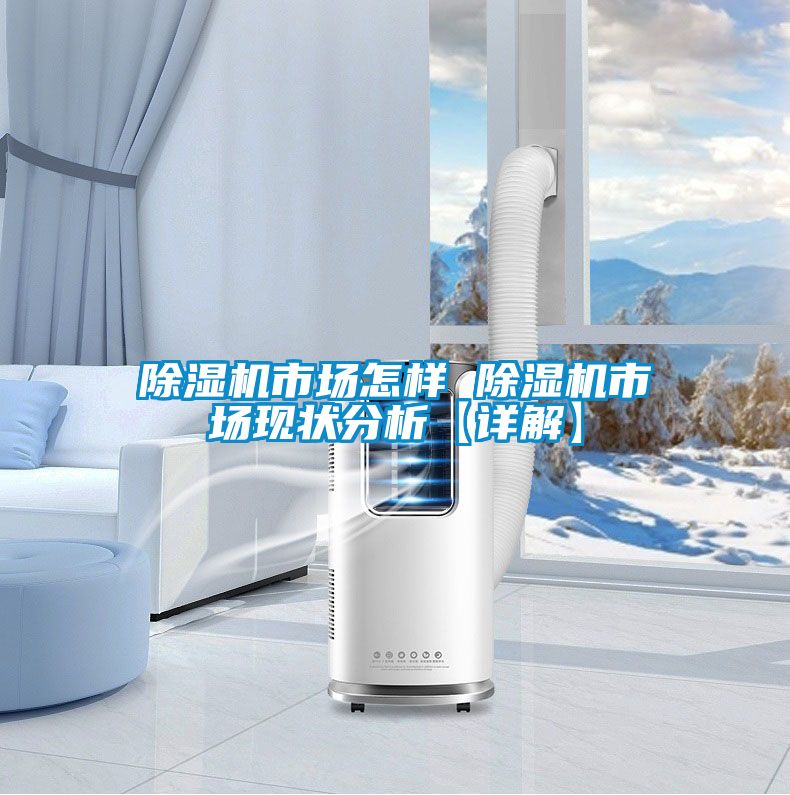 除濕機市場怎樣 除濕機市場現(xiàn)狀分析【詳解】
